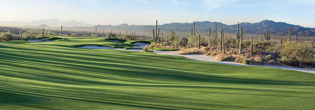 The GC at Dove Mountain - Wild Burro