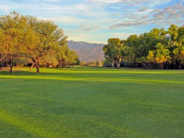 Forty Niner Golf Country Club in Tucson Forty Niner Golf Country Club in Tucson