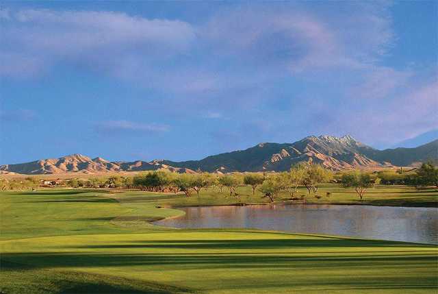 Quail Creek Country Club Coyote Road Runner In Green Valley