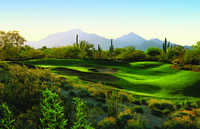 Raptor at Grayhawk