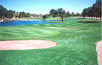 Cottonwood Country Club