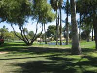 Sun Lakes Country Club