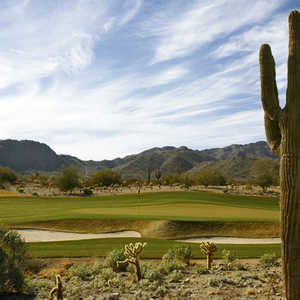 Raven at Verrado: #15