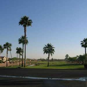 Oakwood CC