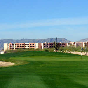 Cattail at Whirlwind: #13