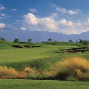Devil's Claw at Whirlwind GC: #6