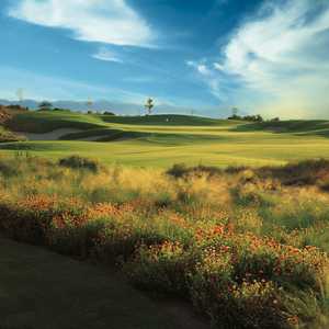 Devil's Claw at Whirlwind GC: #9