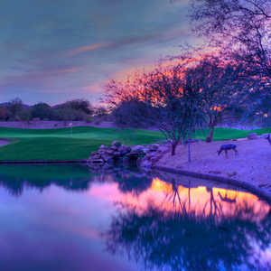 McDowell Mountain GC: #17