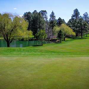 Pinetop Lakes GCC: 8th green