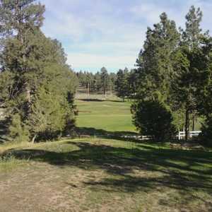 Pine Meadow CC: #4