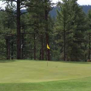 Bison G & CC: #17