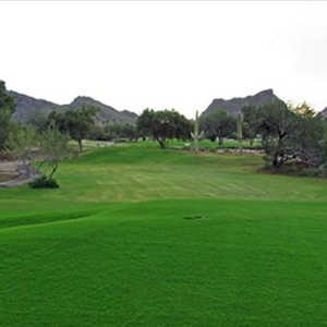 Tucson Estates GCC