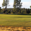 A sunny day view of a hole at Pinewood Country Club.