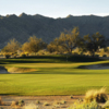 A view of the 6th green at Raven at Verrado