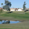 A view of green at Leisure World Country Club