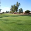 View of a green at Cocopah Rio Colorado Golf Course