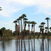 View from Encanto Golf Course Lagoon