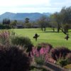 A view from Rio Verde Country Club.