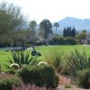 A view from Rio Verde Country Club