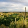 The par-5 18th on the Mountain Course at Ventana Canyon