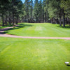A view from tee #14 at Pinetop Lakes Golf & Country Club