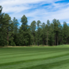 A view of a fairway at White Mountain Country Club.