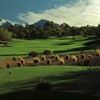 The Phoenician