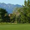 A view from Santa Rita Golf Club