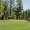 A view of hole #18 at Bison Golf Club