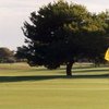 A view of green at Ken Mc Donald Golf Course