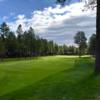 A sunny day view of a fairway at Forest Highlands Golf Club.