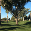 A view from Sunland Village Golf Course.